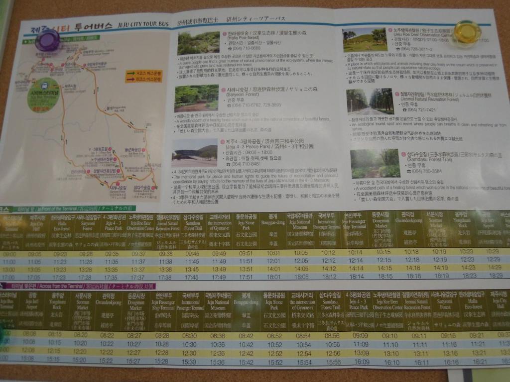 Hostel Lyndon 済州市 エクステリア 写真